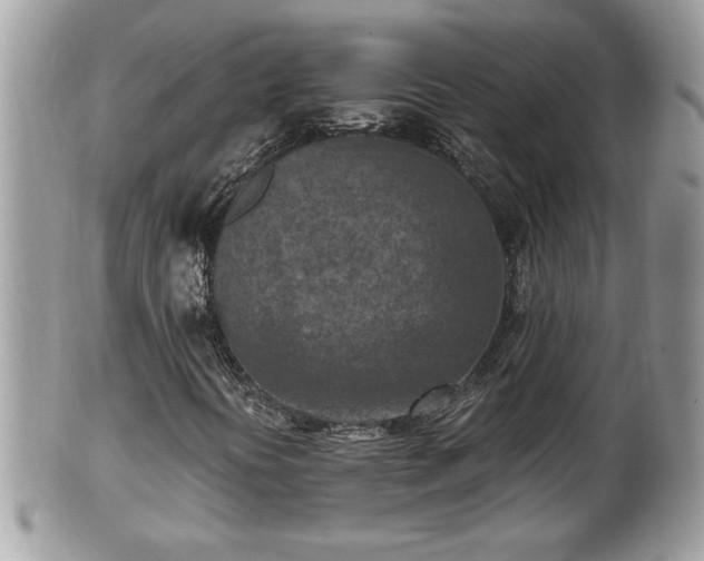 X0000101191394200807071303