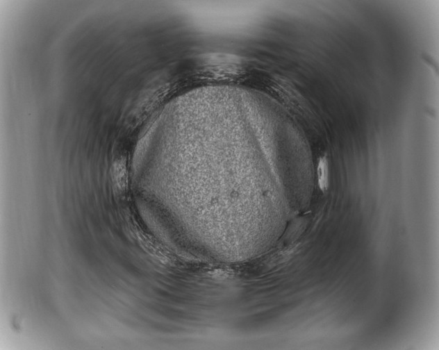 X0000101191395200807071303
