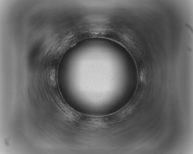 X0000101191396200807071303