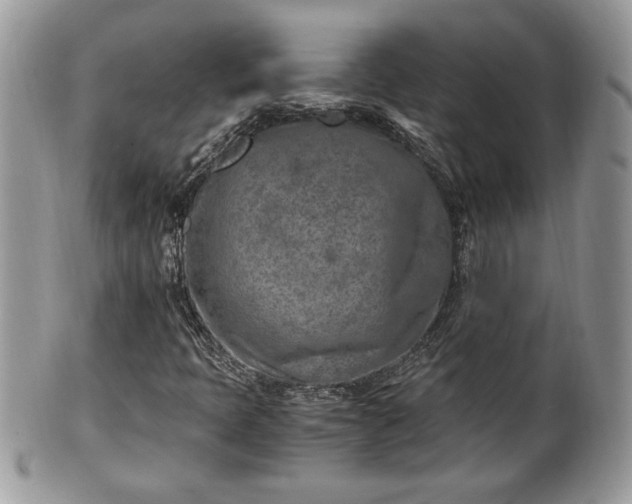 X0000101191397200807071303