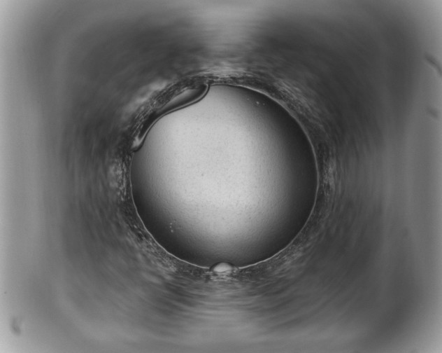 X0000101191398200807071303