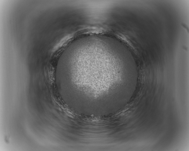 X0000101191399200807071303
