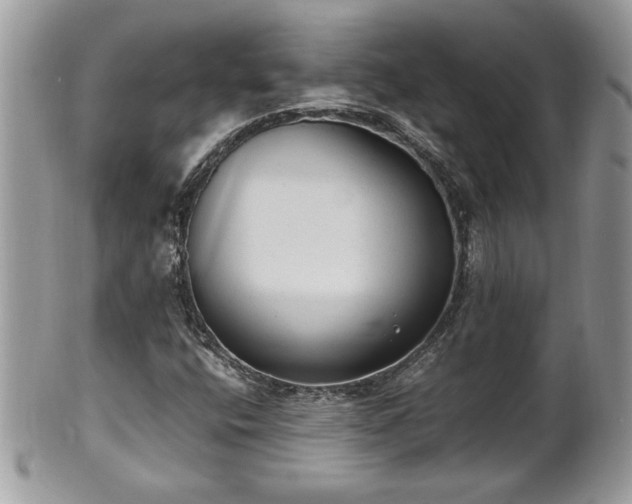 X0000101191400200807071303