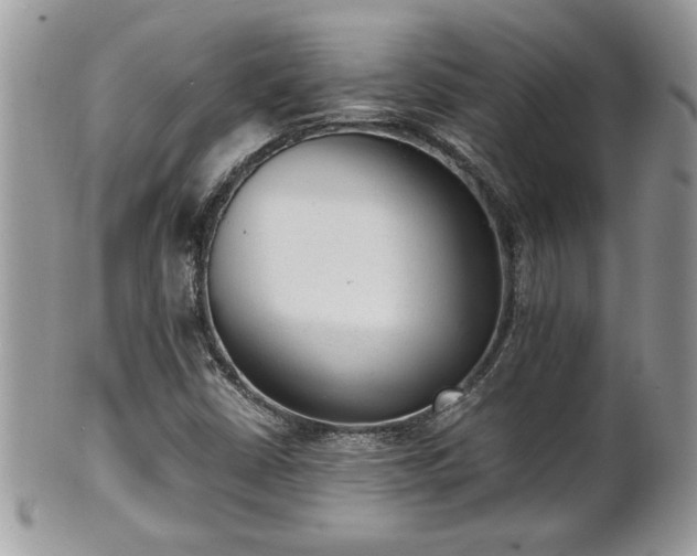 X0000101191402200807071303