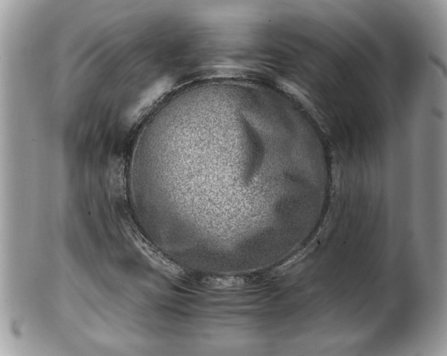 X0000101191403200807071303