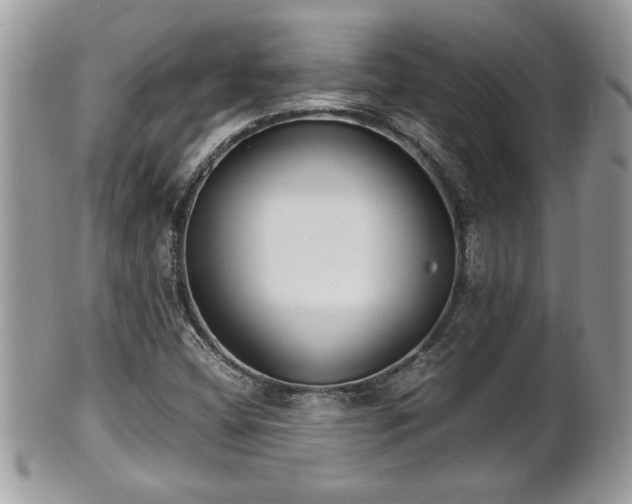X0000101191404200807071303