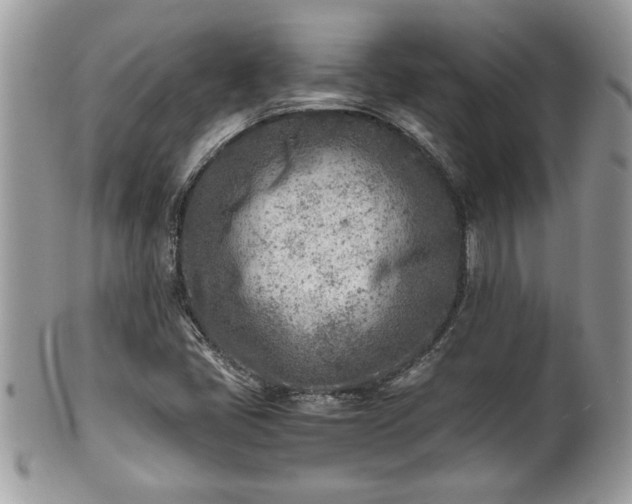 X0000101191405200807071303