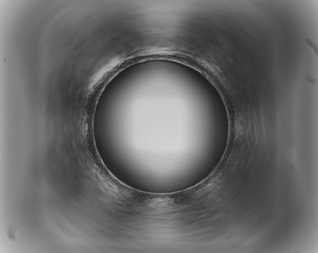 X0000101191406200807071303