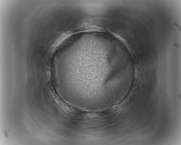 X0000101191407200807071303