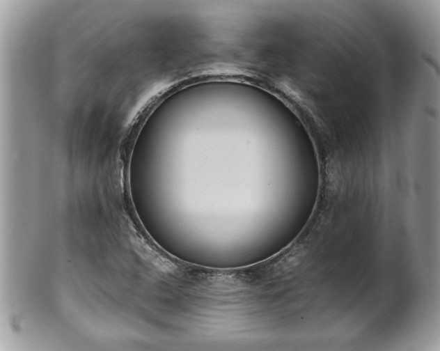 X0000101191408200807071303