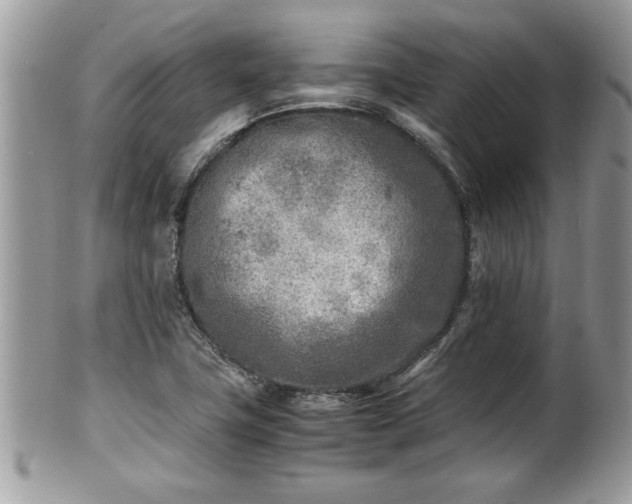 X0000101191411200807071303