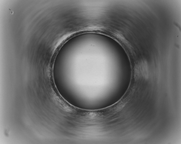 X0000101191412200807071303