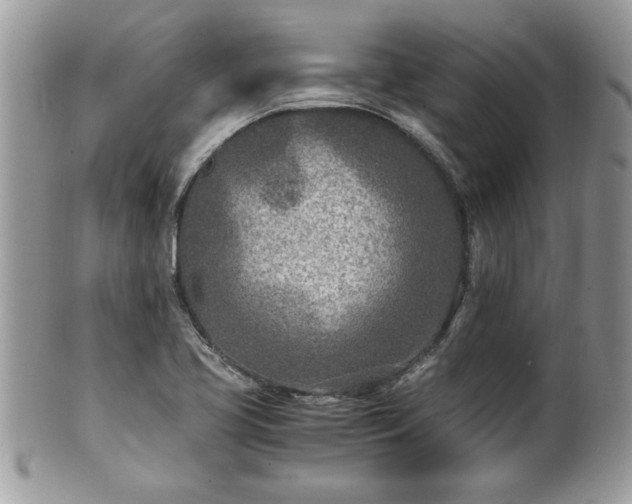 X0000101191413200807071303