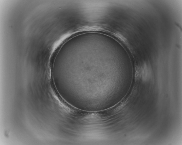 X0000101191414200807071303