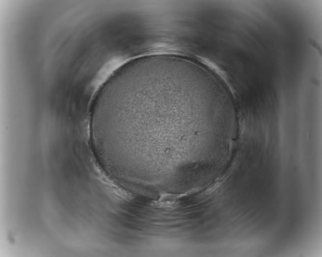 X0000101191415200807071303