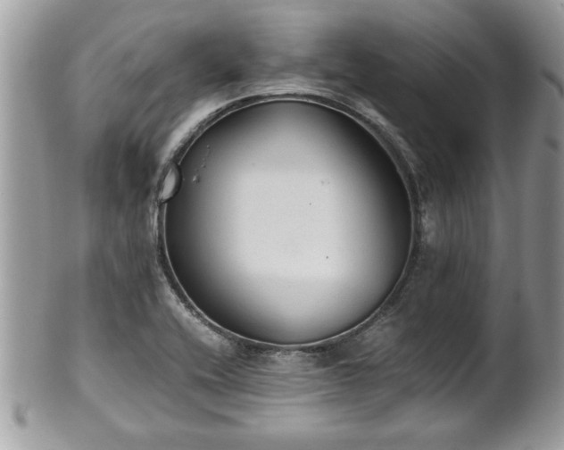 X0000101191416200807071303