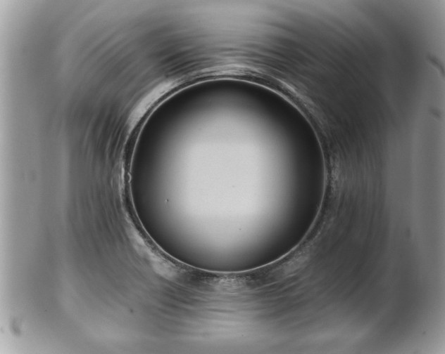 X0000101191418200807071303