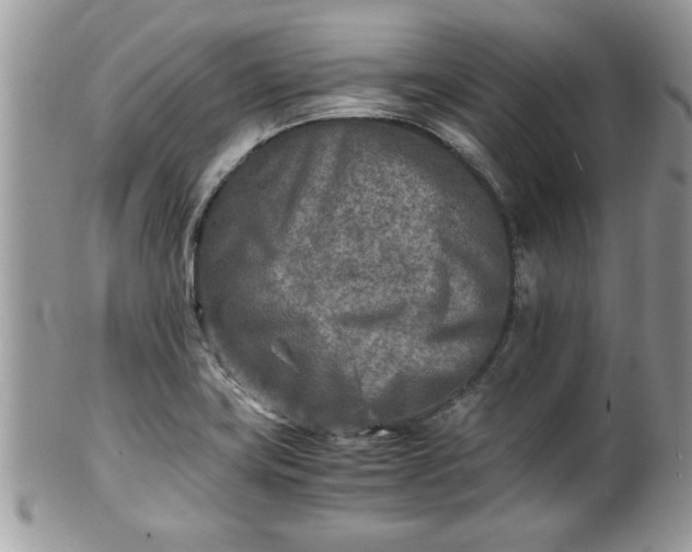 X0000101191419200807071303