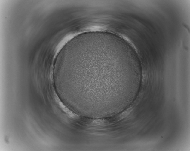 X0000101191421200807071303