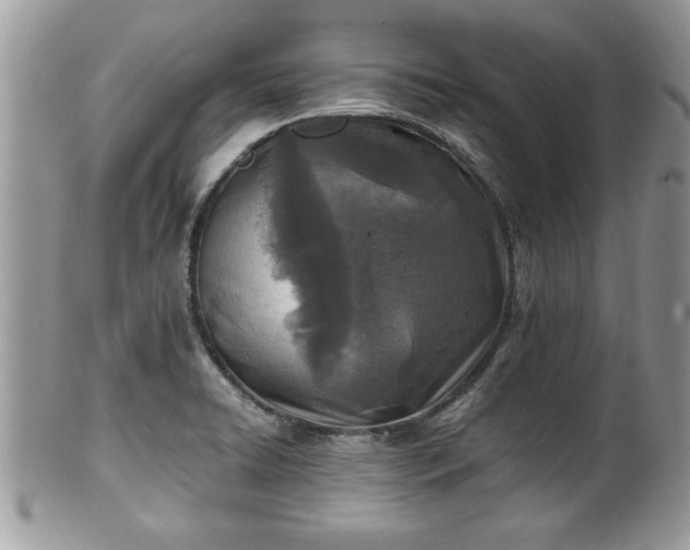 X0000101191422200807071303