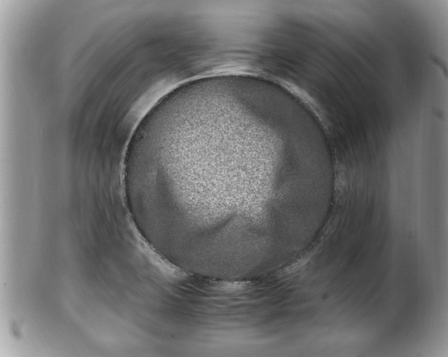 X0000101191423200807071304