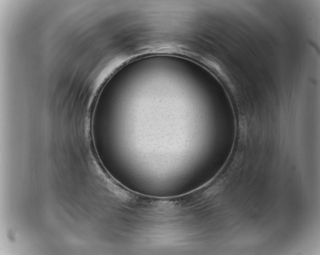 X0000101191424200807071304