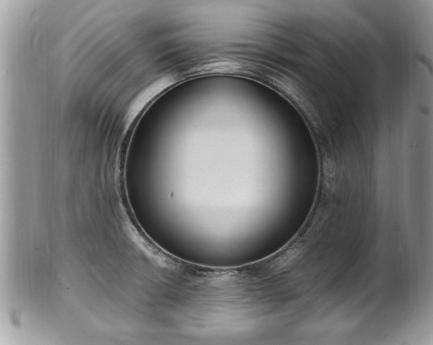 X0000101191426200807071304