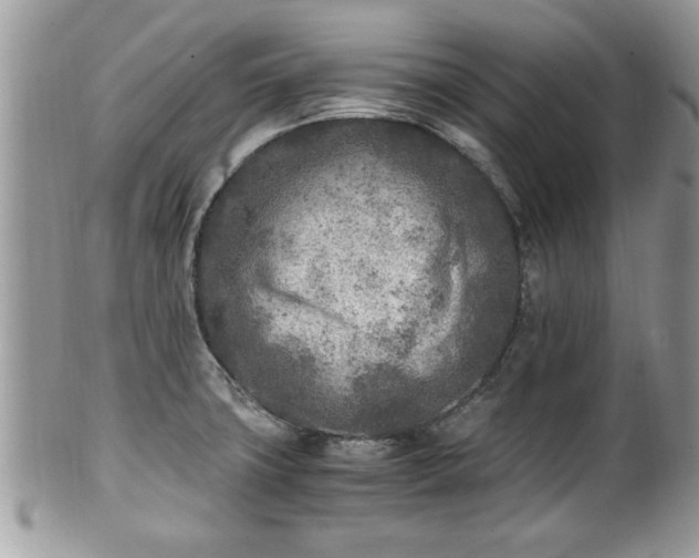 X0000101191427200807071304