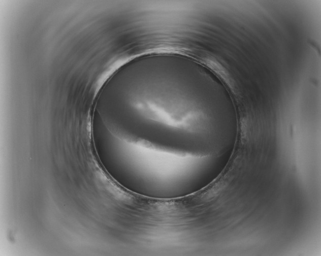 X0000101191428200807071304