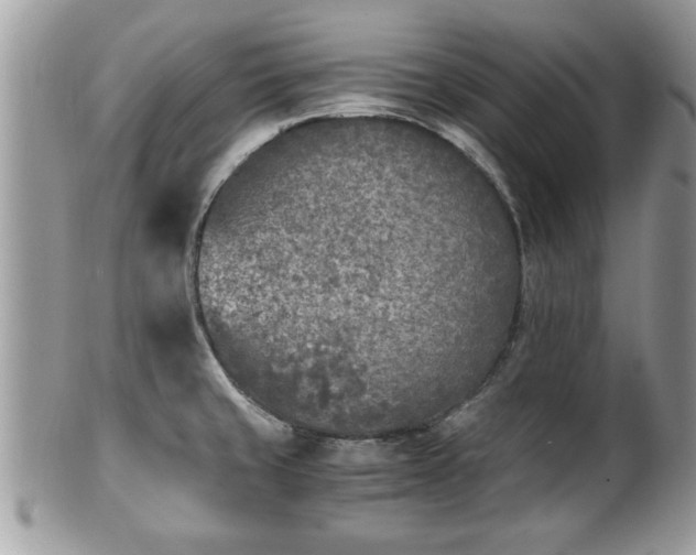 X0000101191429200807071304
