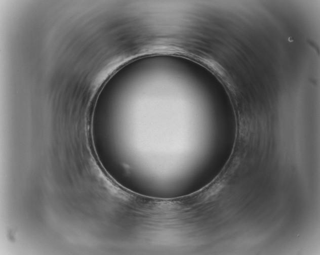 X0000101191430200807071304