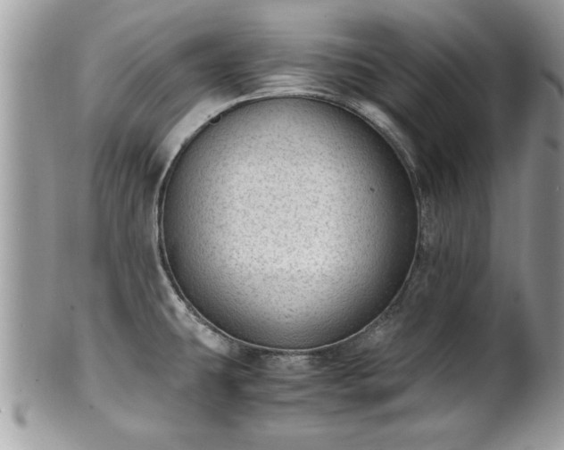 X0000101191431200807071304
