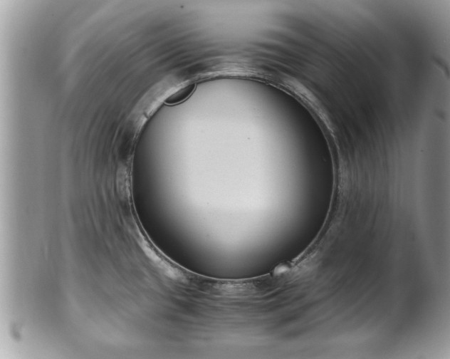 X0000101191433200807071304