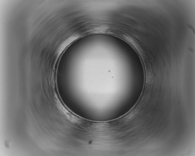 X0000101191434200807071304