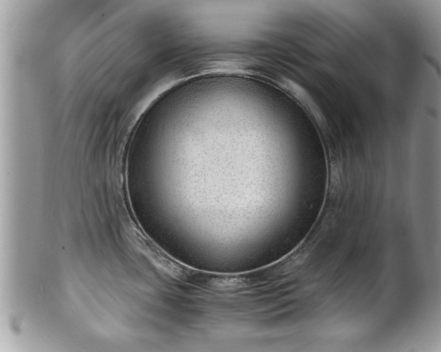 X0000101191435200807071304