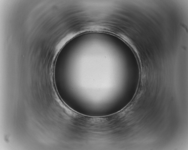 X0000101191437200807071304