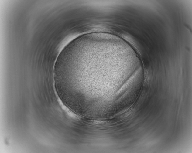 X0000101191439200807071304