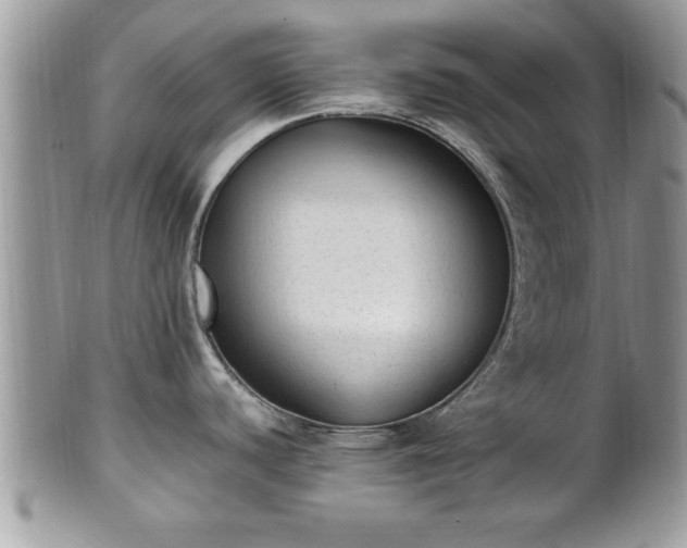 X0000101191440200807071304