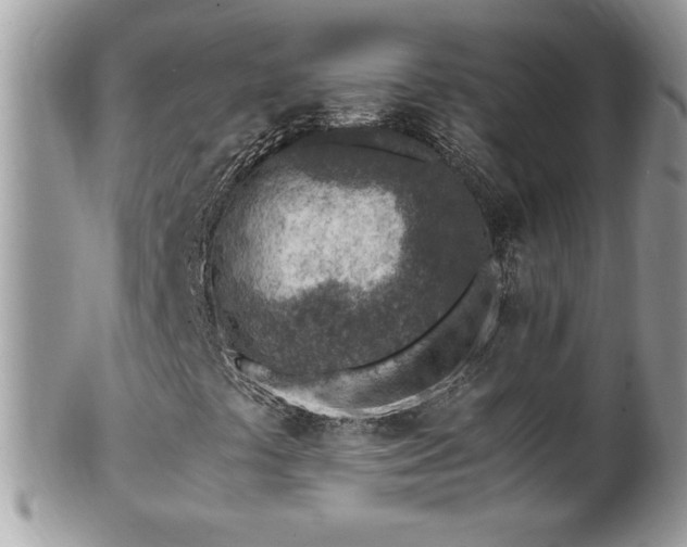 X0000101191441200807071303