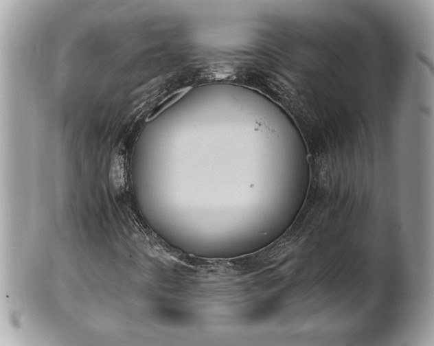 X0000101191442200807071303