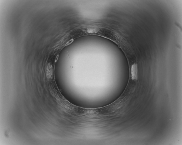 X0000101191443200807071303