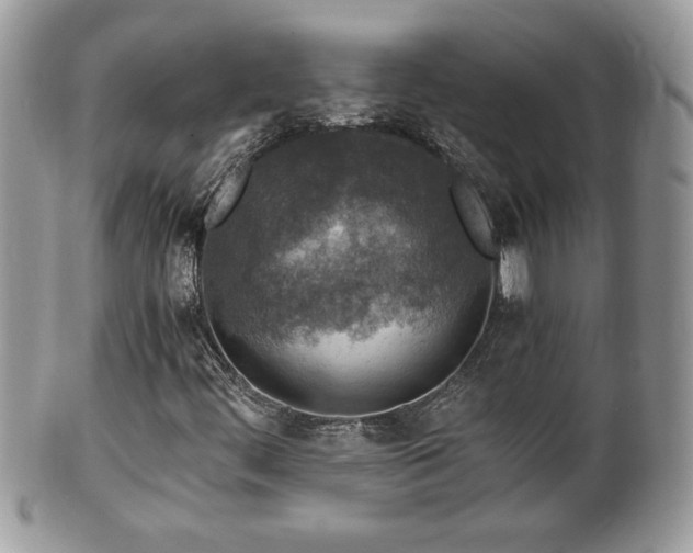 X0000101191444200807071303