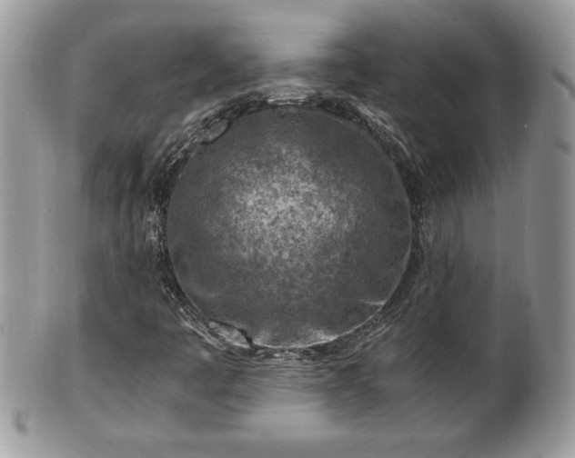 X0000101191445200807071303