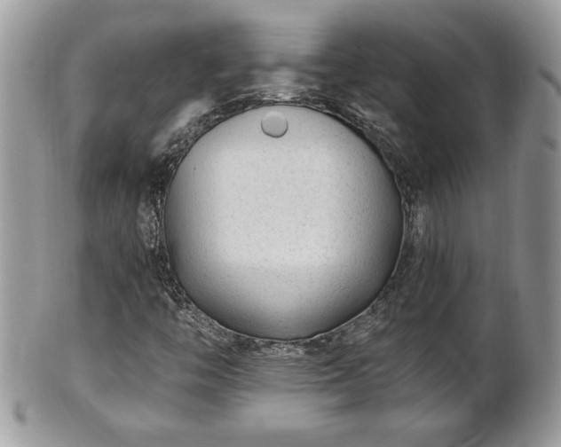 X0000101191446200807071303