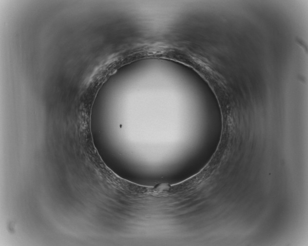 X0000101191447200807071303