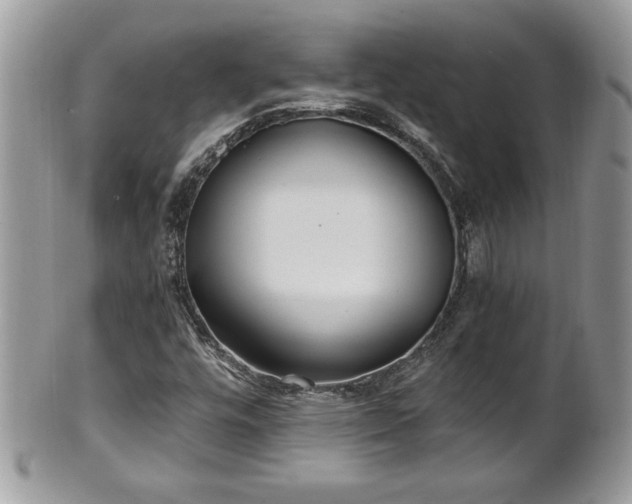 X0000101191448200807071303