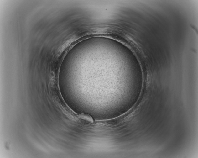 X0000101191449200807071303