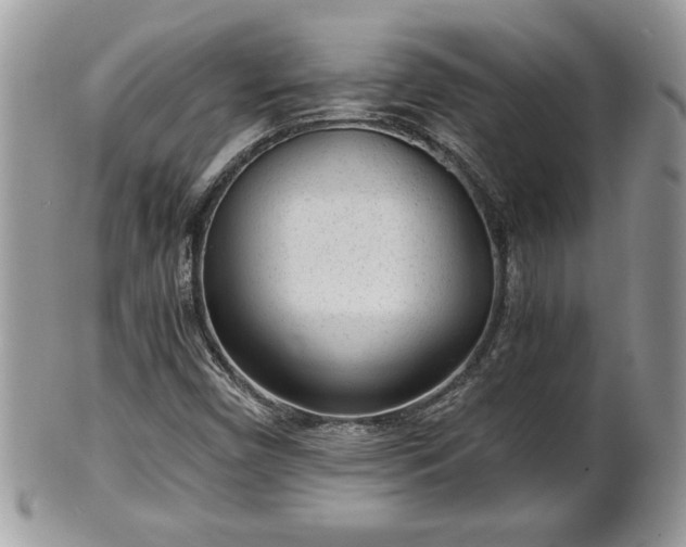 X0000101191450200807071303