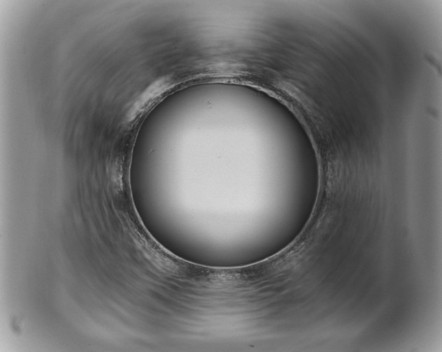 X0000101191451200807071303