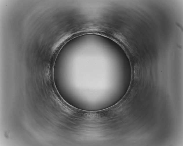 X0000101191452200807071303